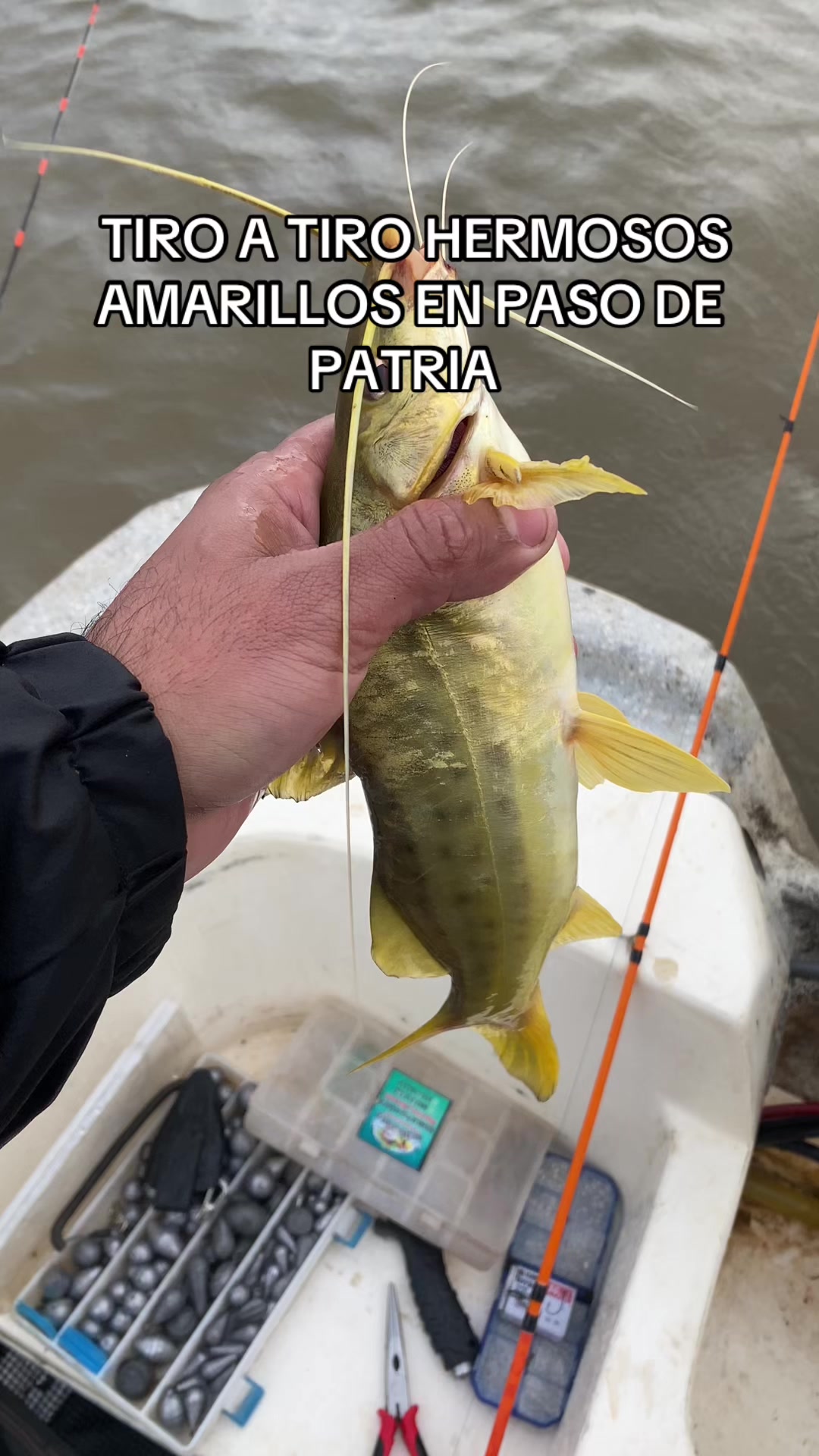 @AnzuelerosPy 🇳🇱🎣