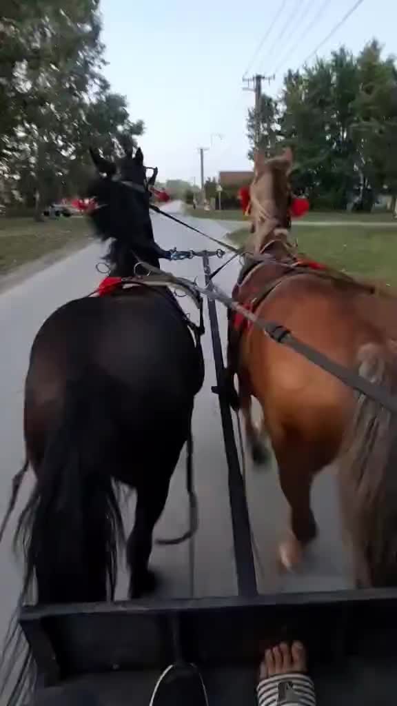 @𝓐𝓷𝓷𝓪👑