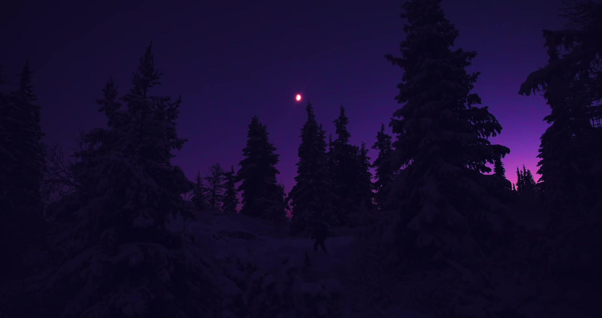 @Lush Visuals