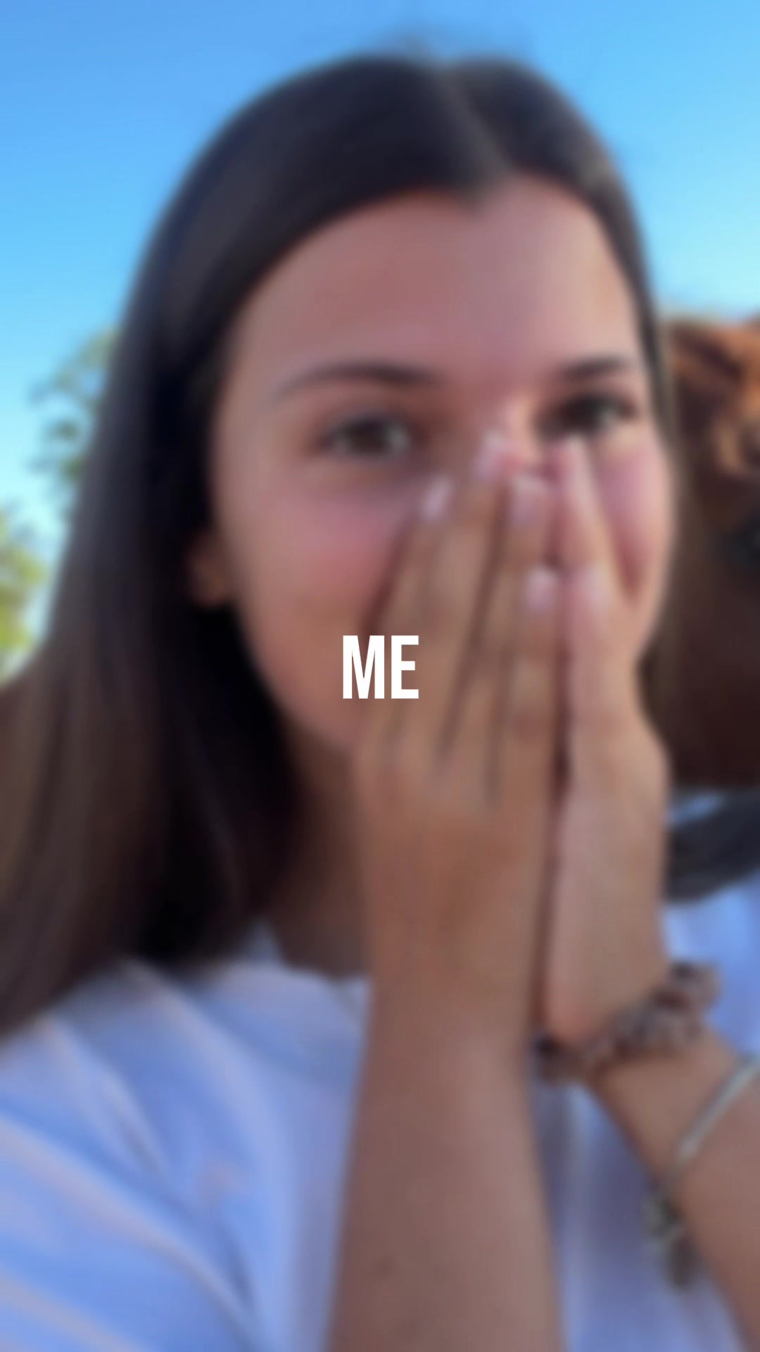 @MyHorse
