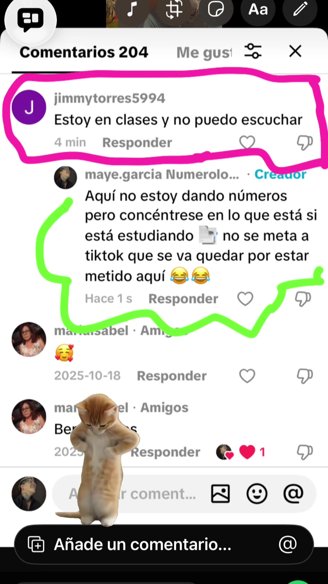 @maye.garcia Numerologia
