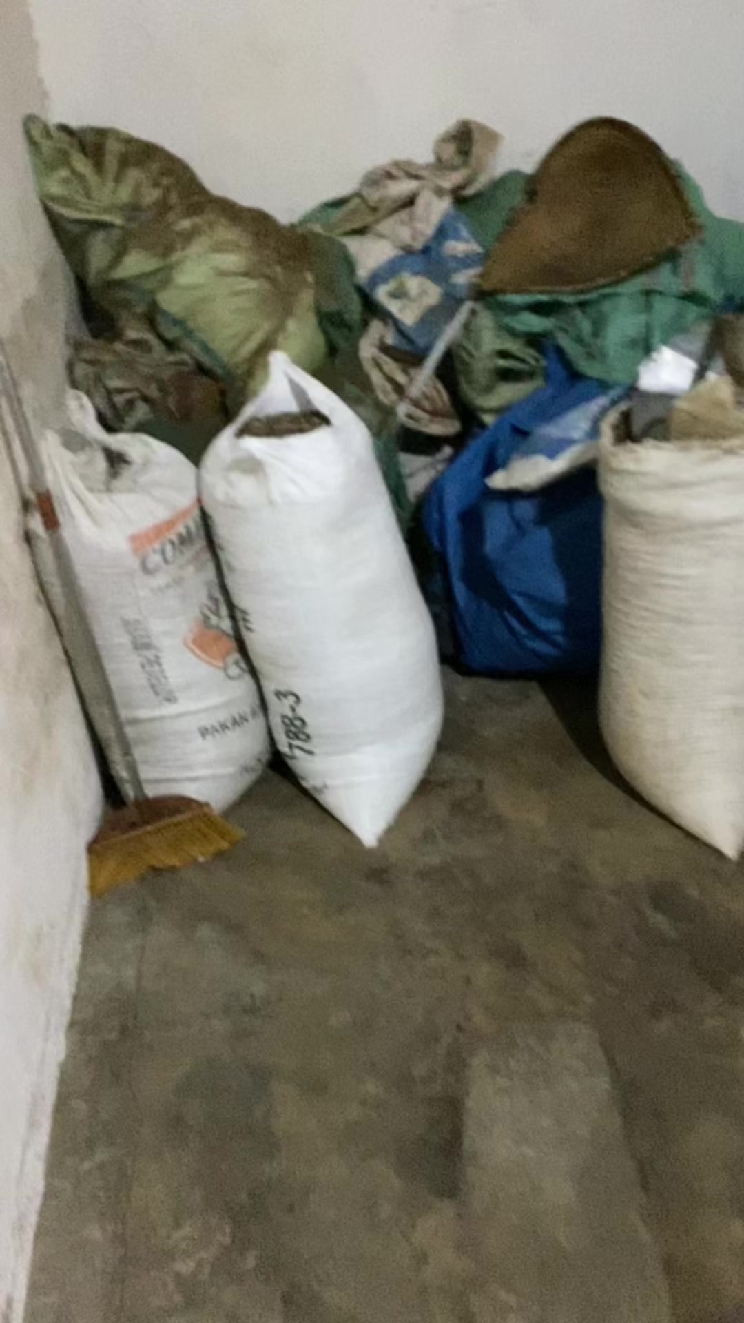 @Pajrul Pala