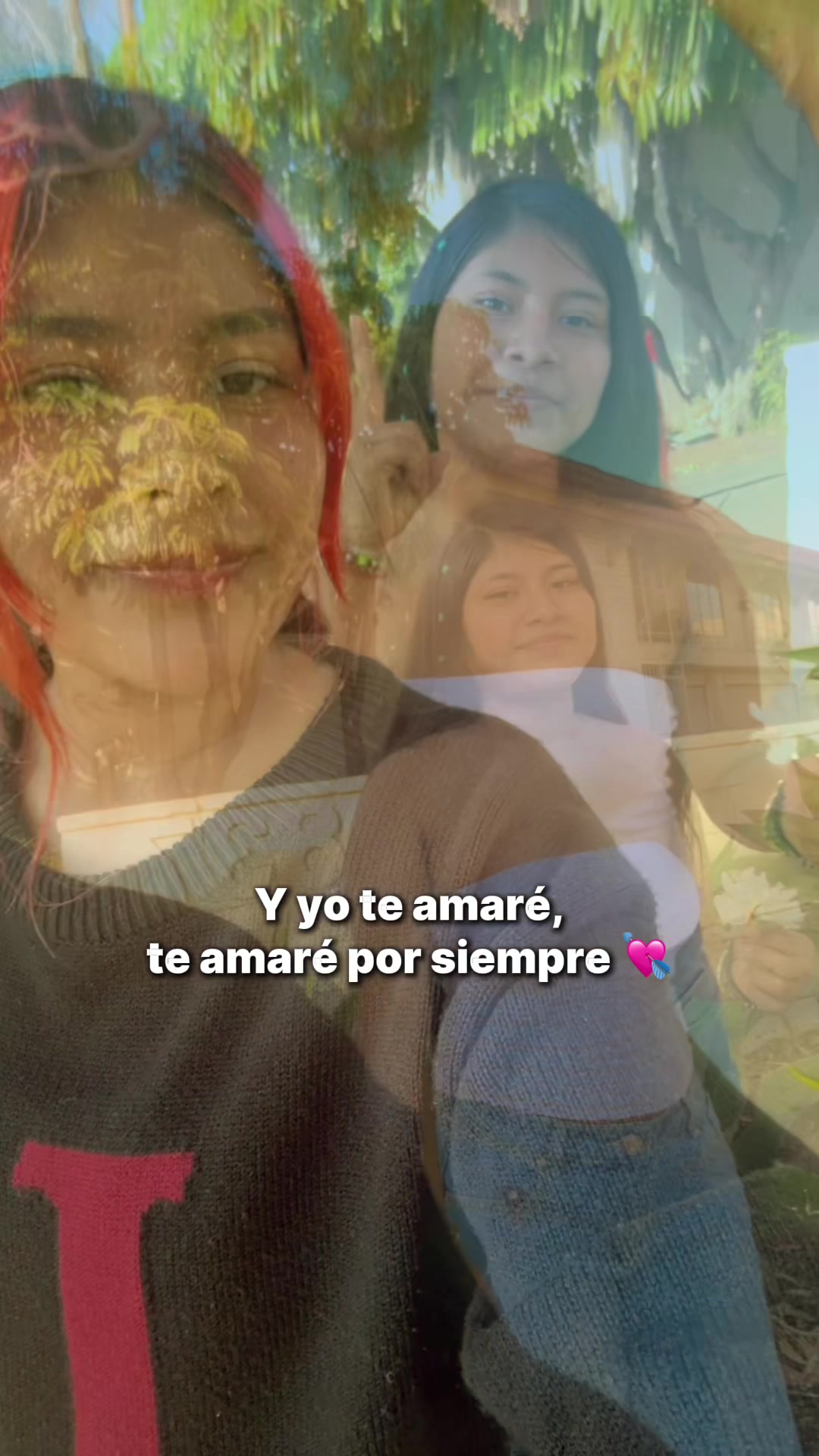 @lindatomas502