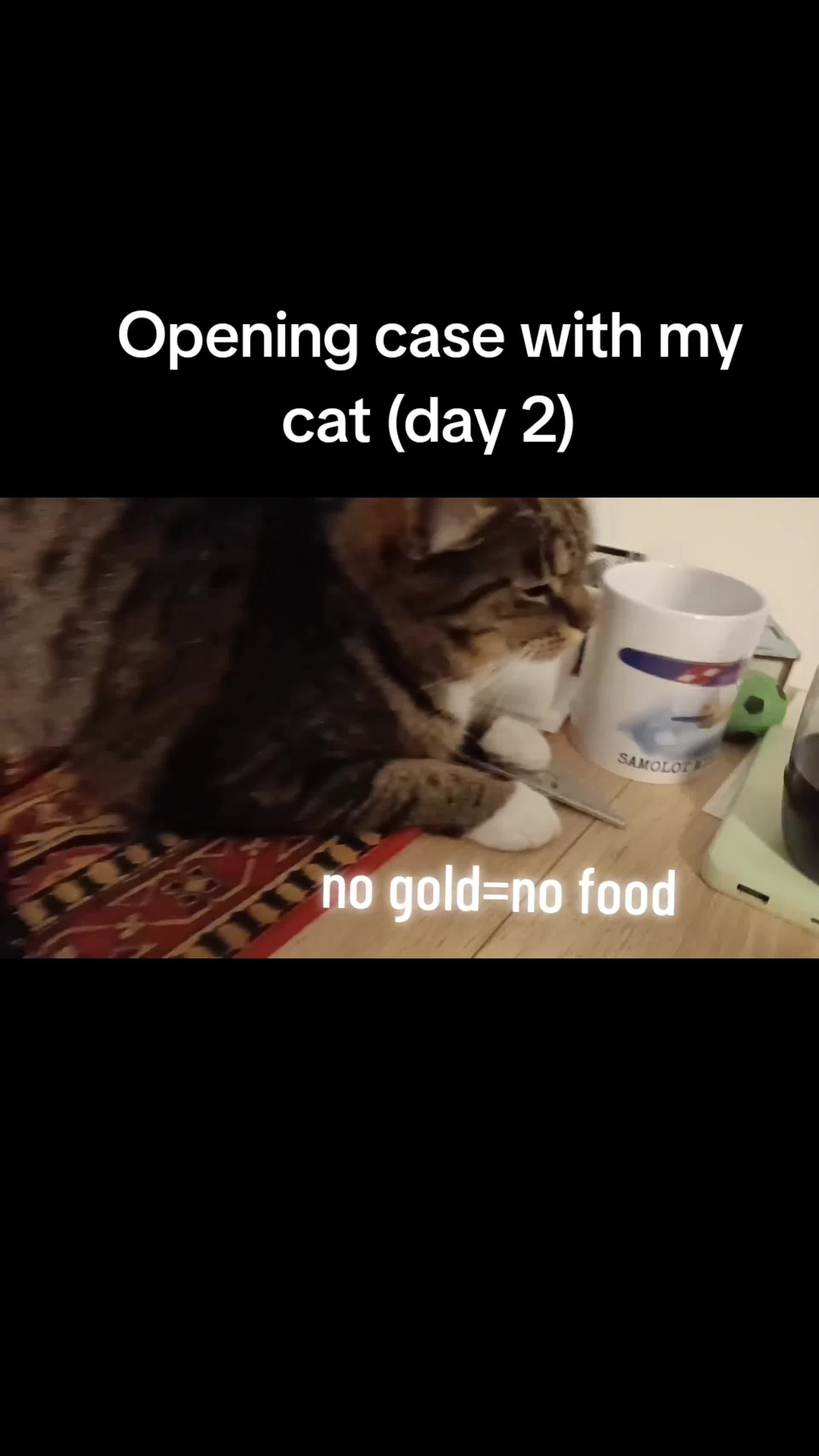@wiertarkakontowabosch