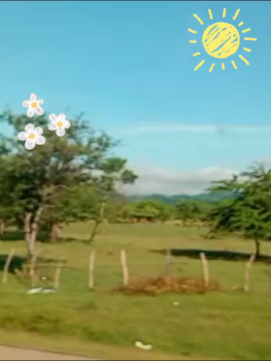 @Lau T🩷🇭🇳