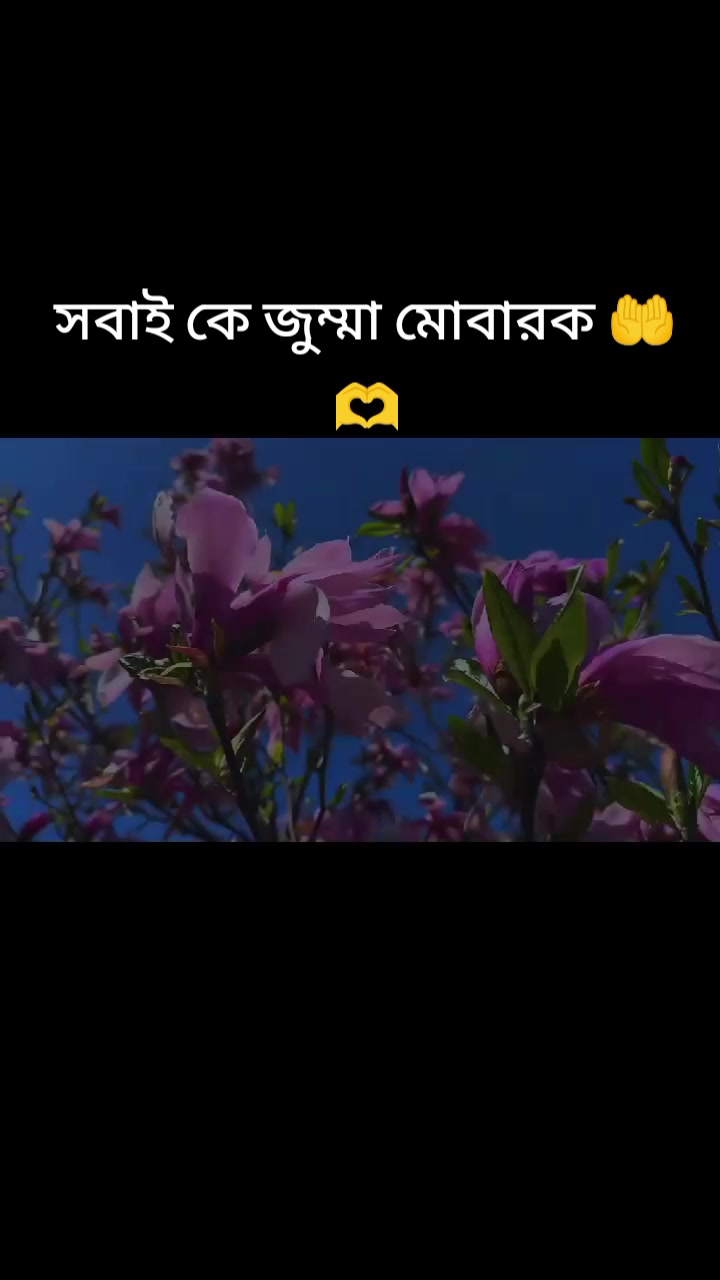 @md Sofik1234