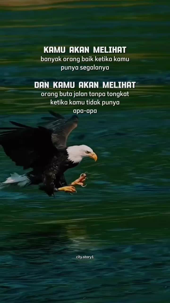 @city.story1