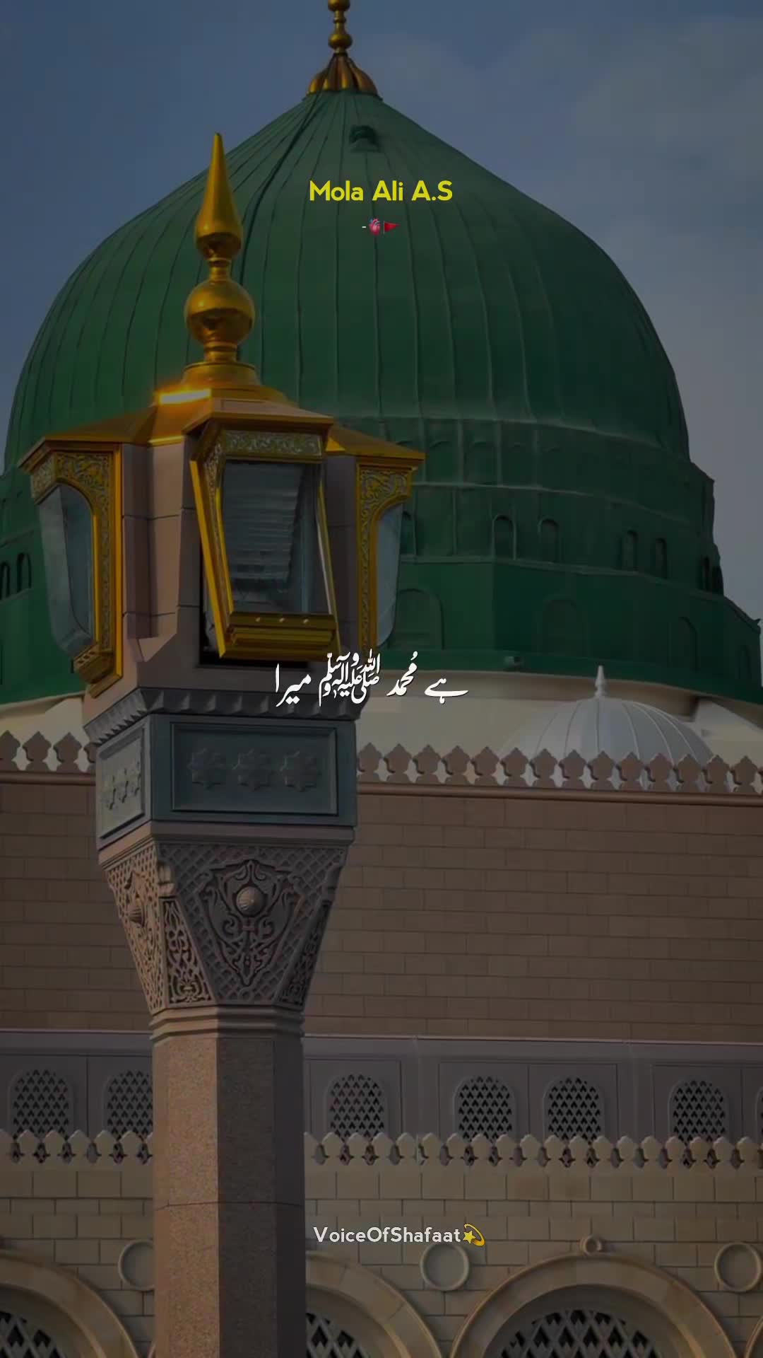 @VoiceOfShafaat💫