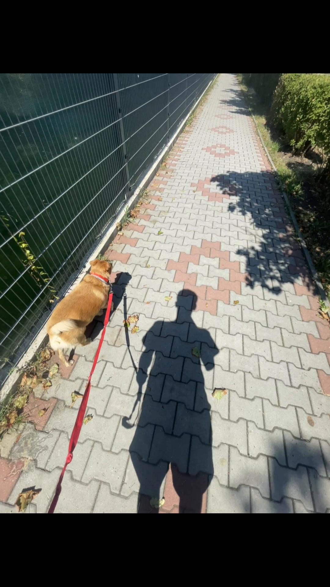 @Josef Kratěna