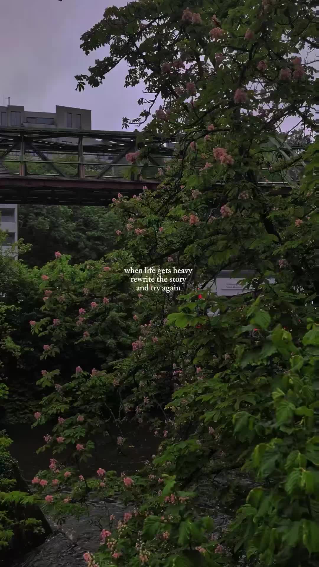 @anni 🌧️