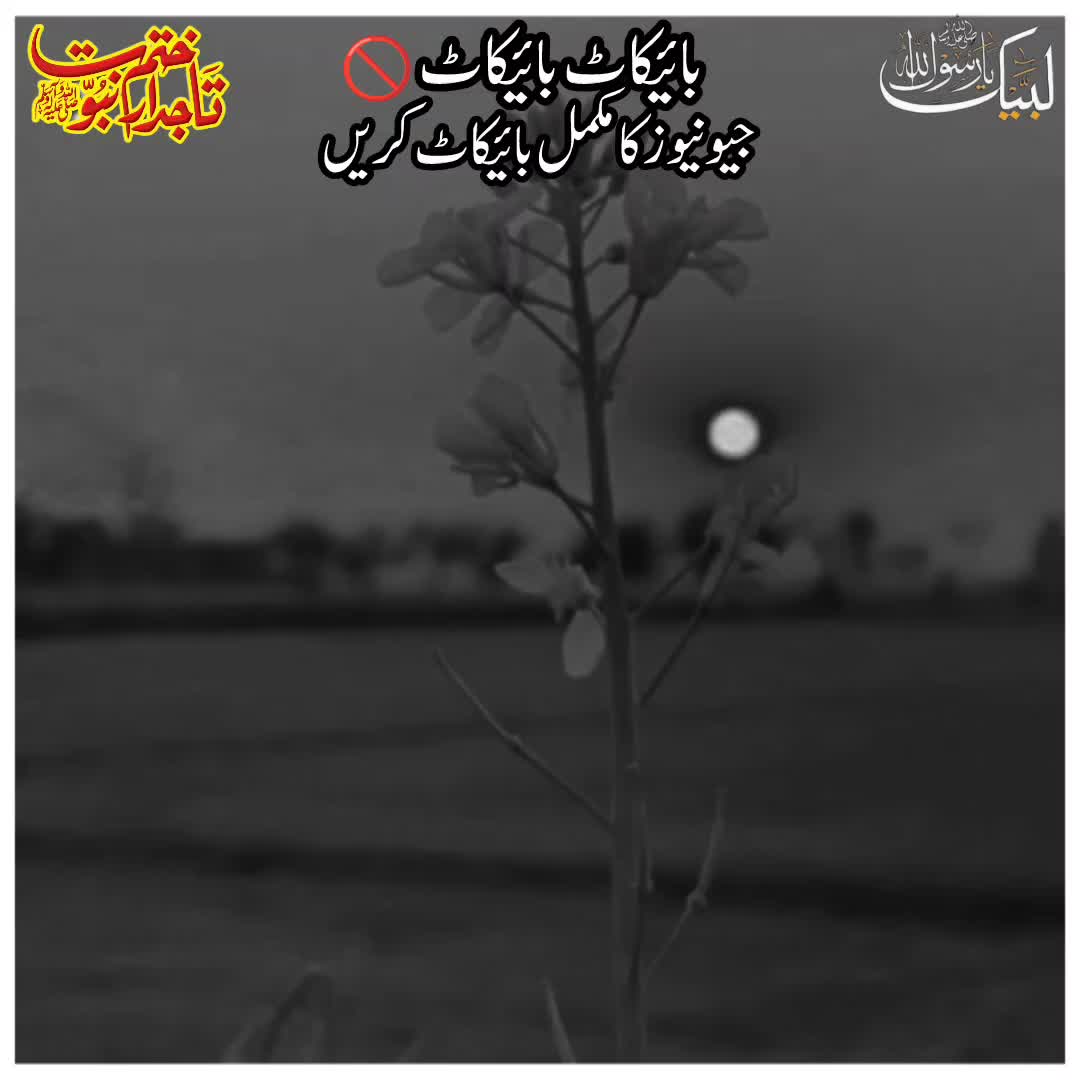 @☝️⭐༄گمنام مجاھد༄⭐💫