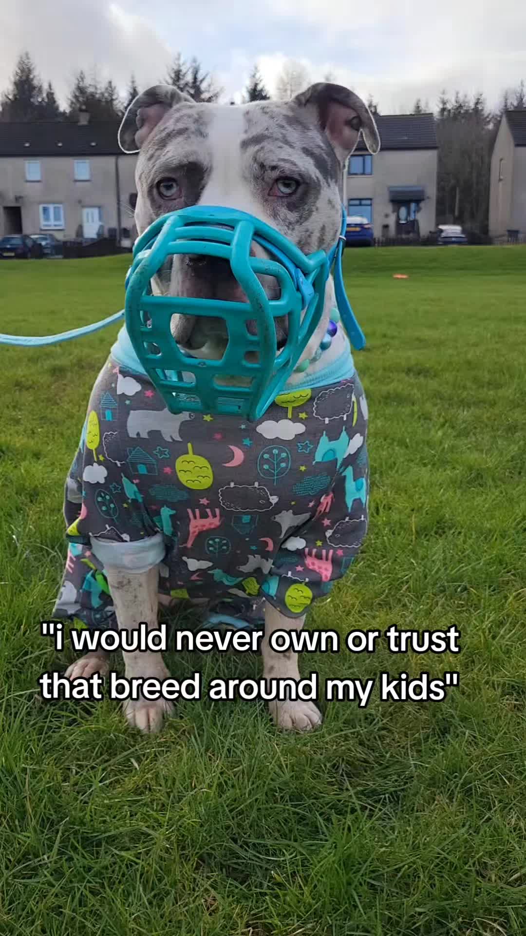 @kirsty+starlight the xl bully