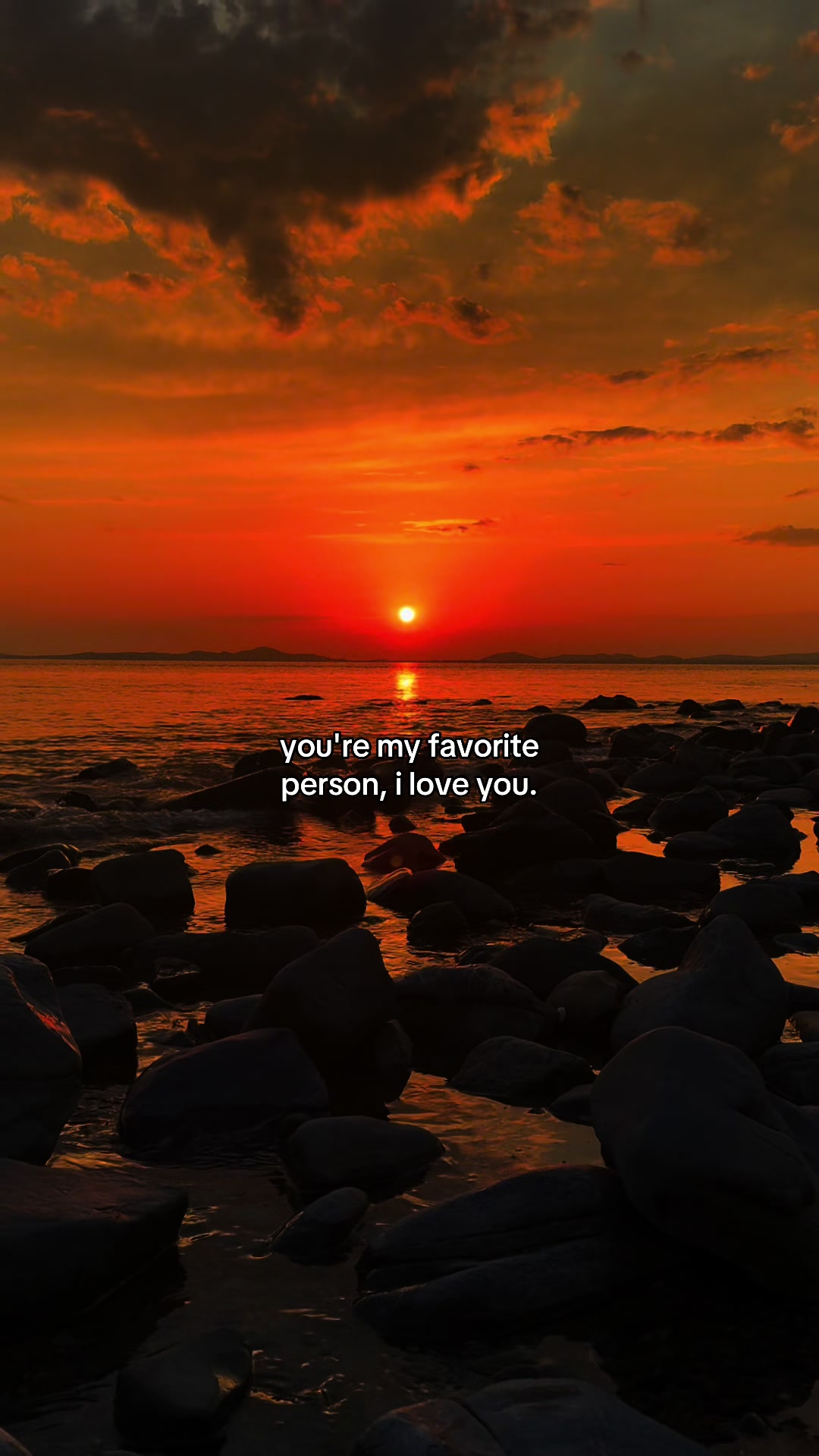 @reel_feels_