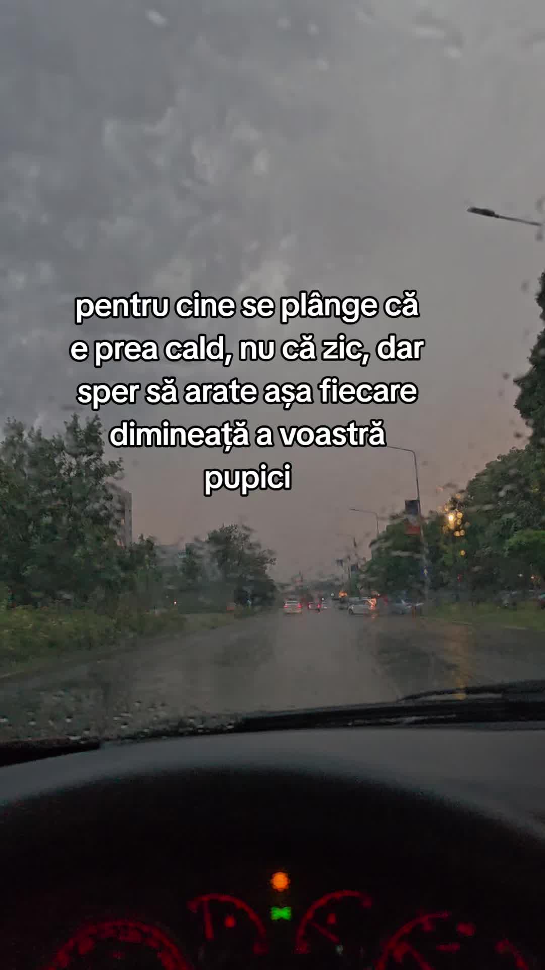 @Elena Radulescu