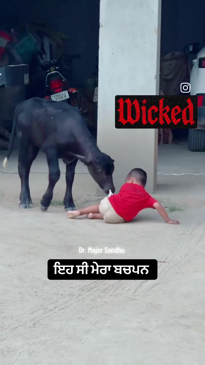 @ਮੌਜੀ (all rounder)