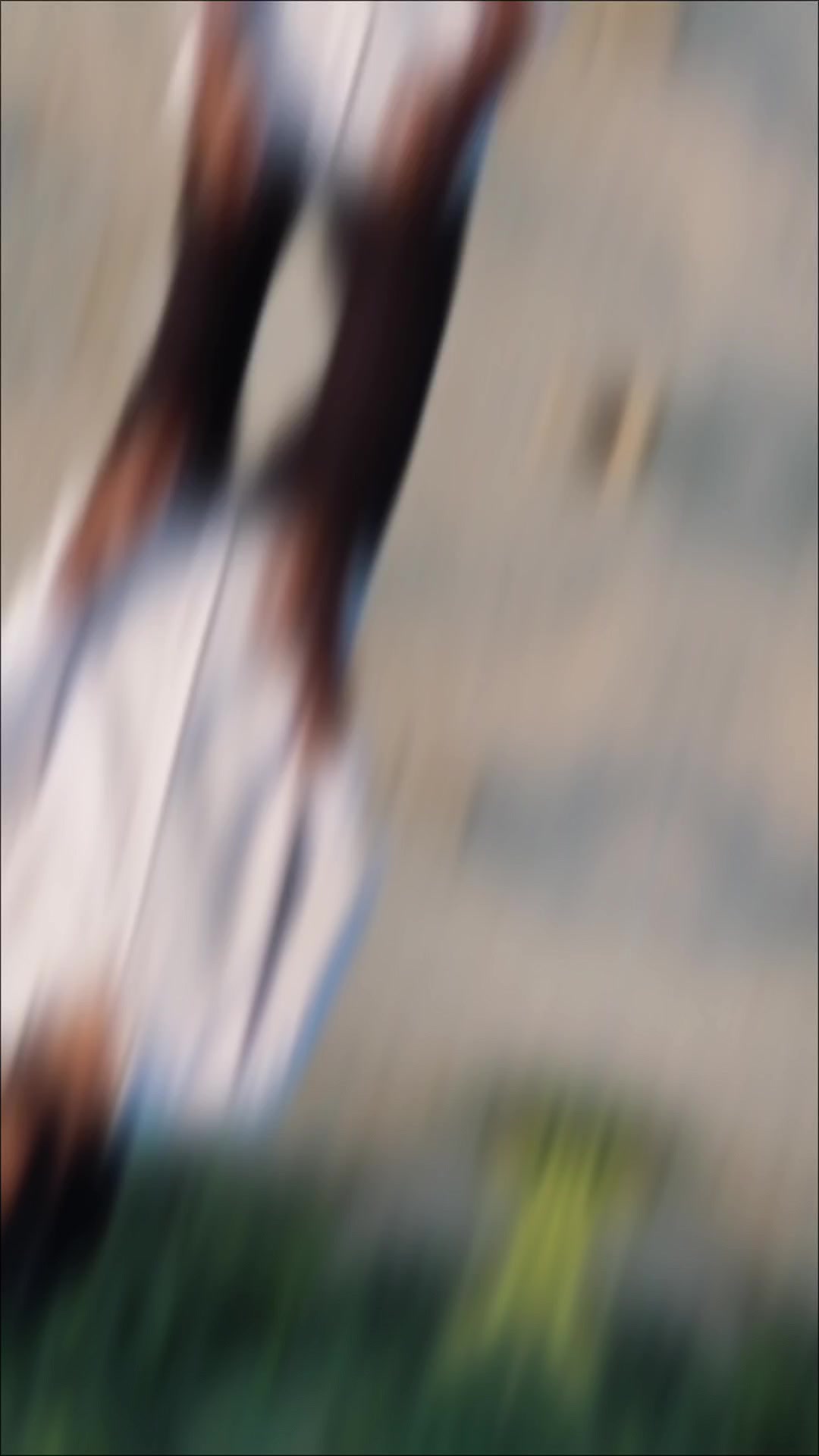 @𝘔𝘳 𝘋𝘢𝘯𝘪𝘪 🫅