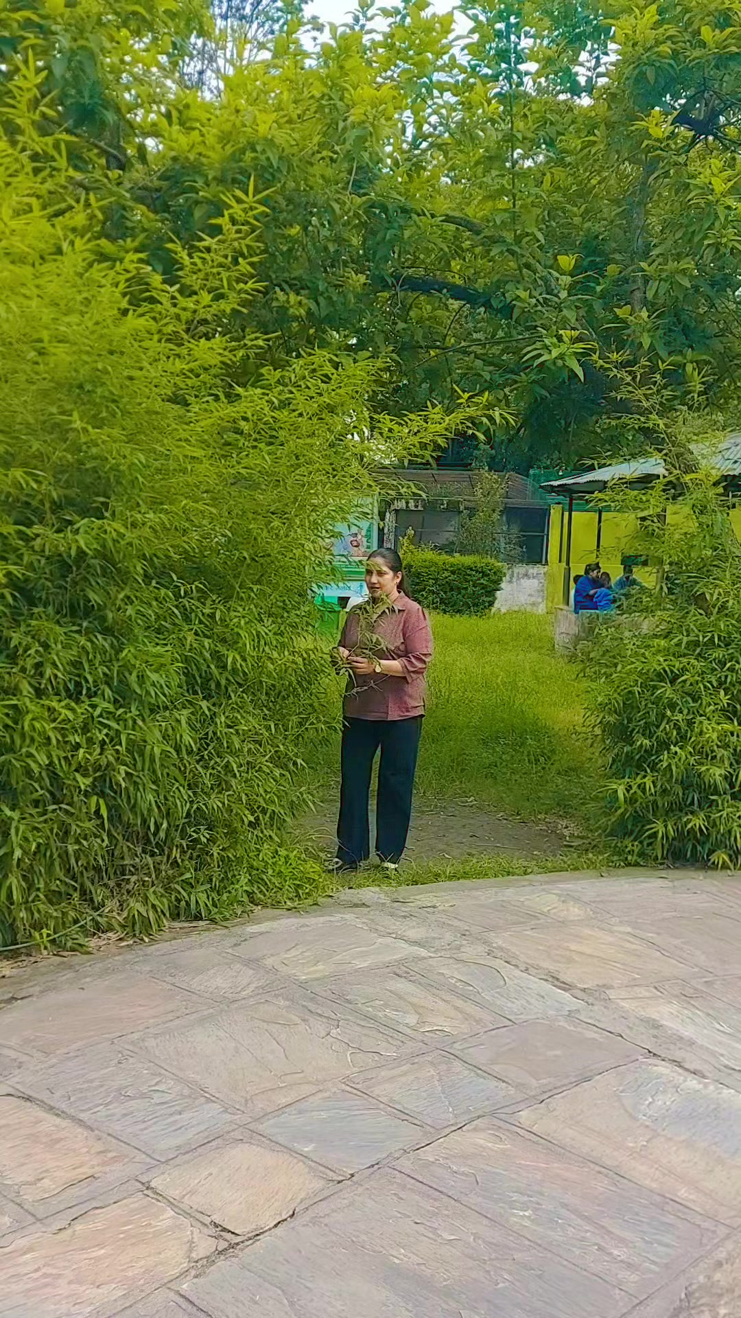 @☪️ चन्द्रा रिजाल 🕉️🔱