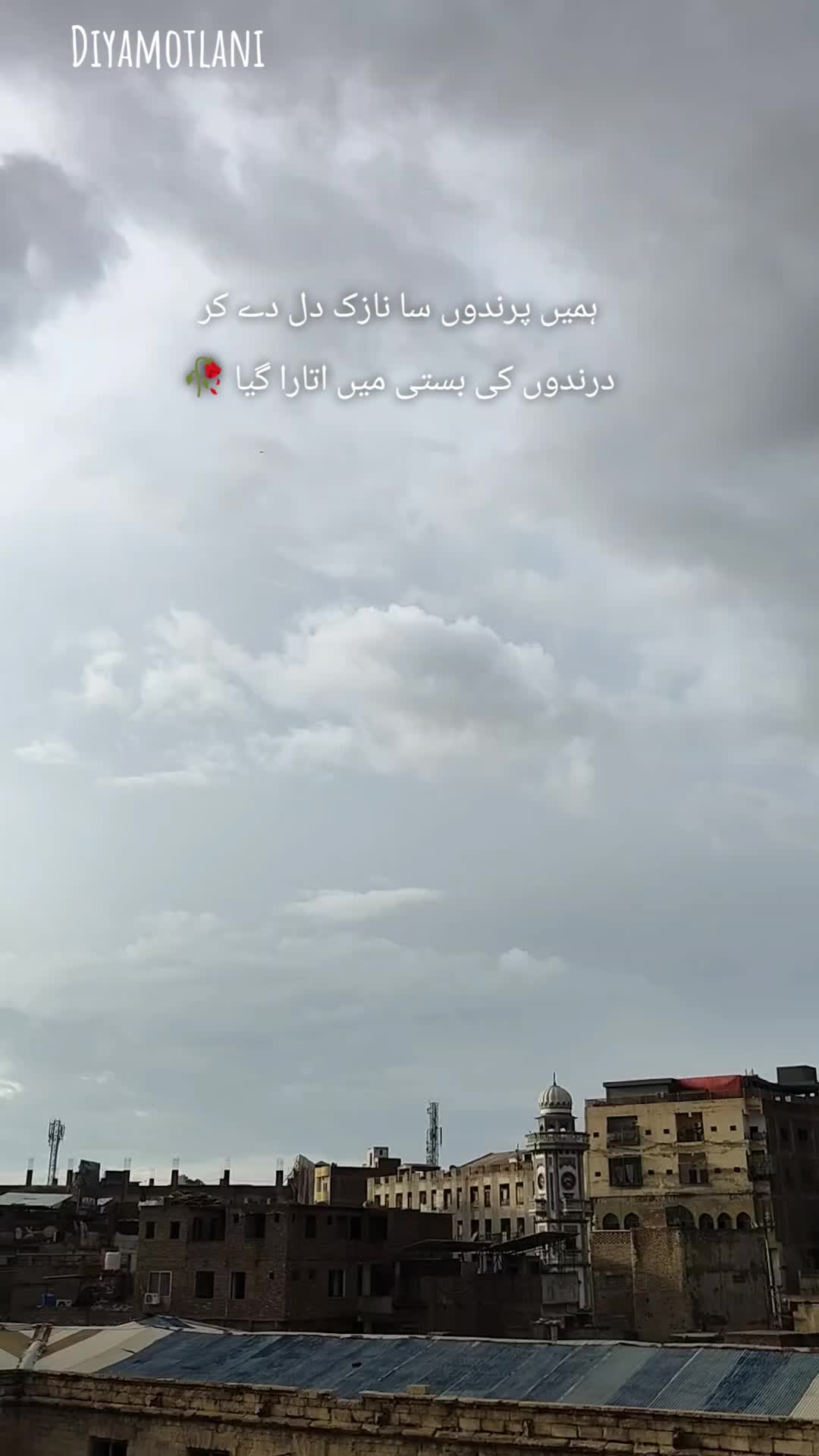 @حلیمہ سعدیہ ✨