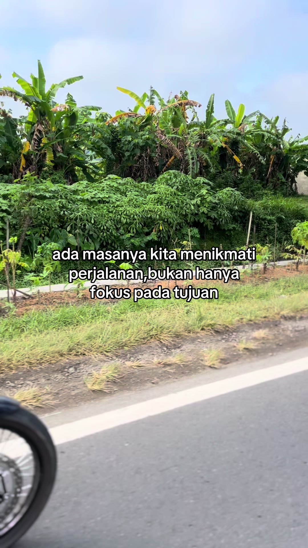 @ryansaputra846_
