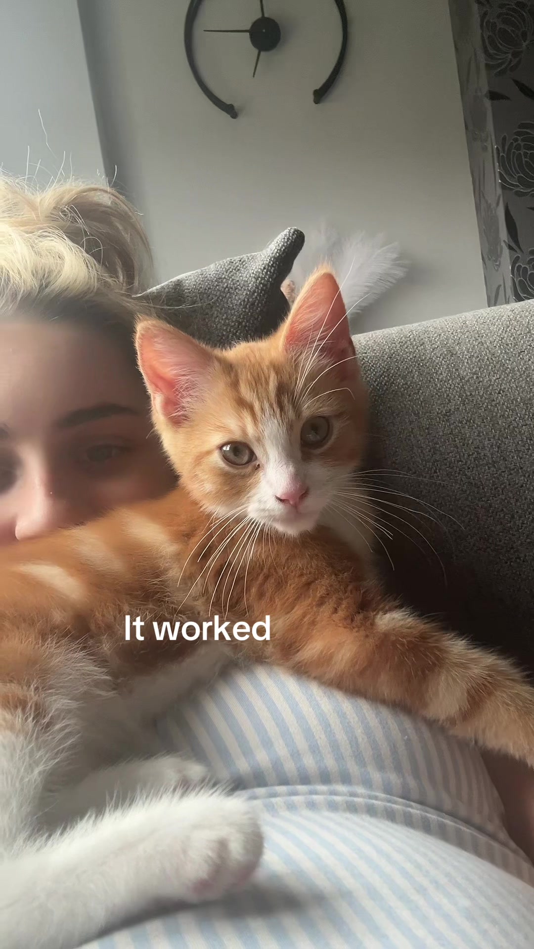 @reeseymcavoy🐆🍒