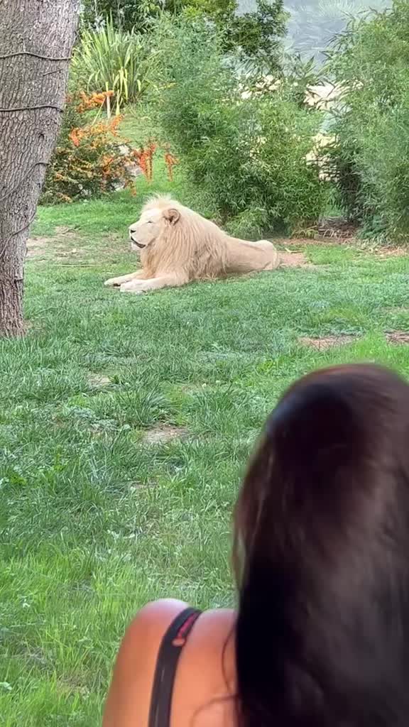 @🦁❤Madyson & amandine ELS❤️🦁