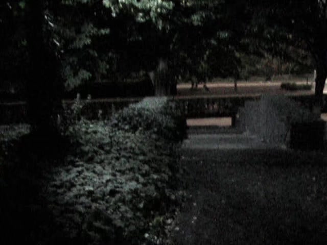 @ֶָ֢