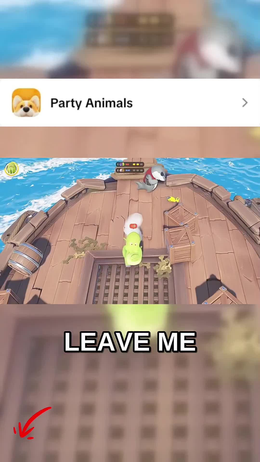 @👑🤍
