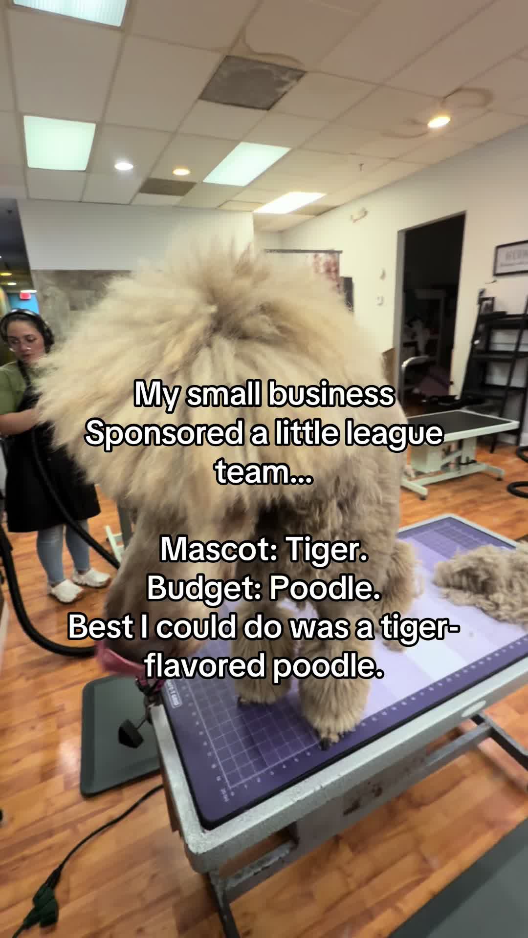@neurospicywitchygroomer