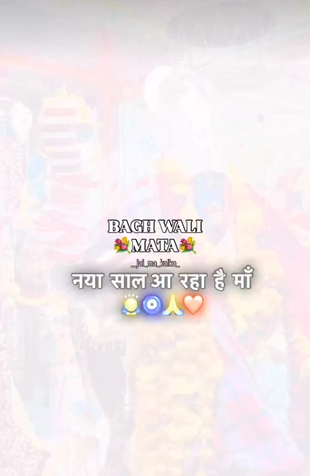 @rajput singh 316