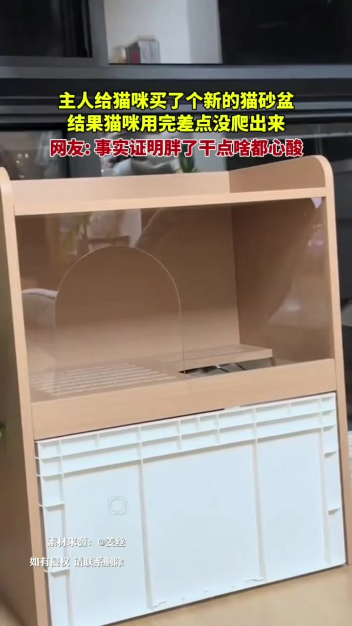 @中国蓝国际