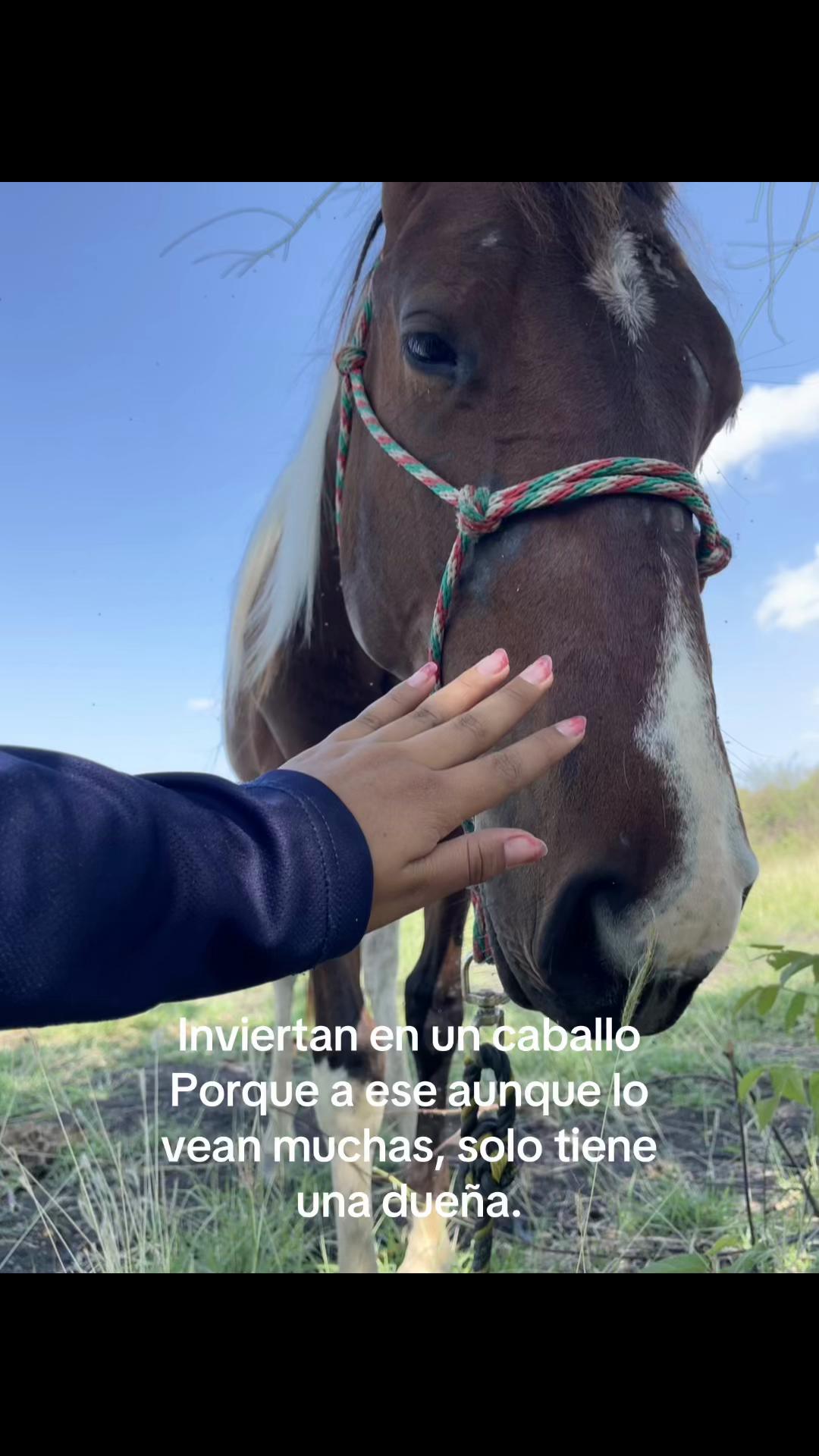 @Alee🤎