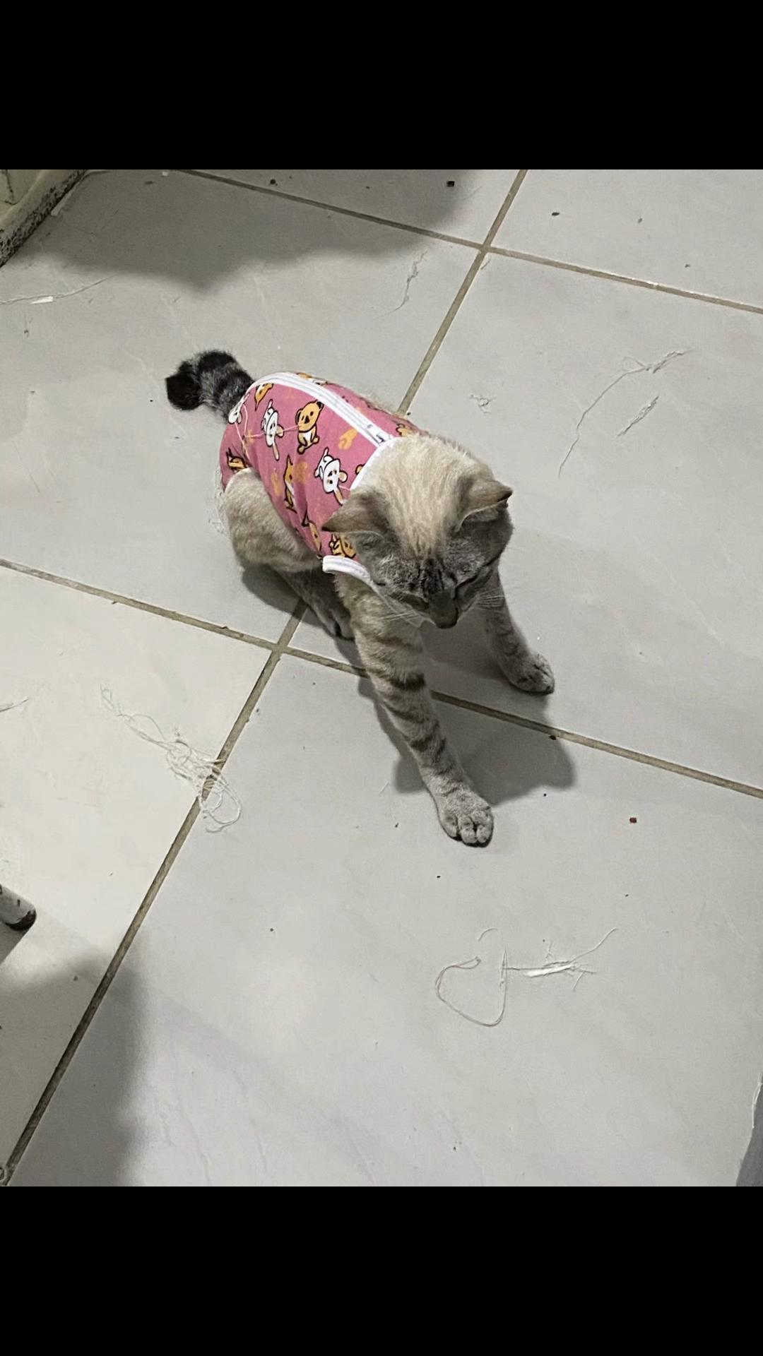 @🛍️ Amanda | Achadinhos