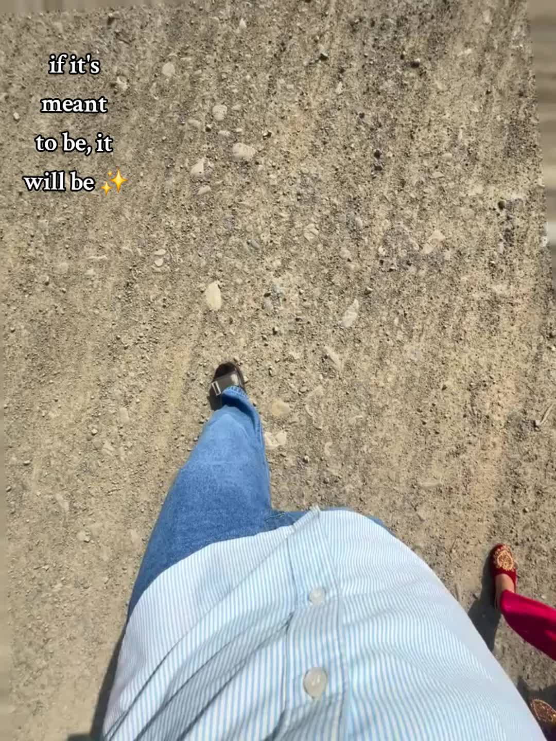 @🦢