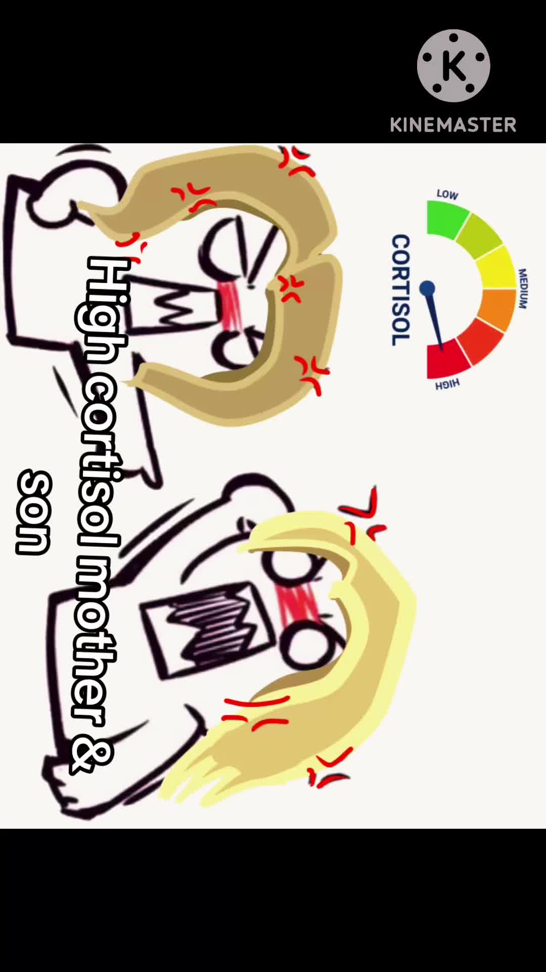 @$!33py_$tud!o$:0