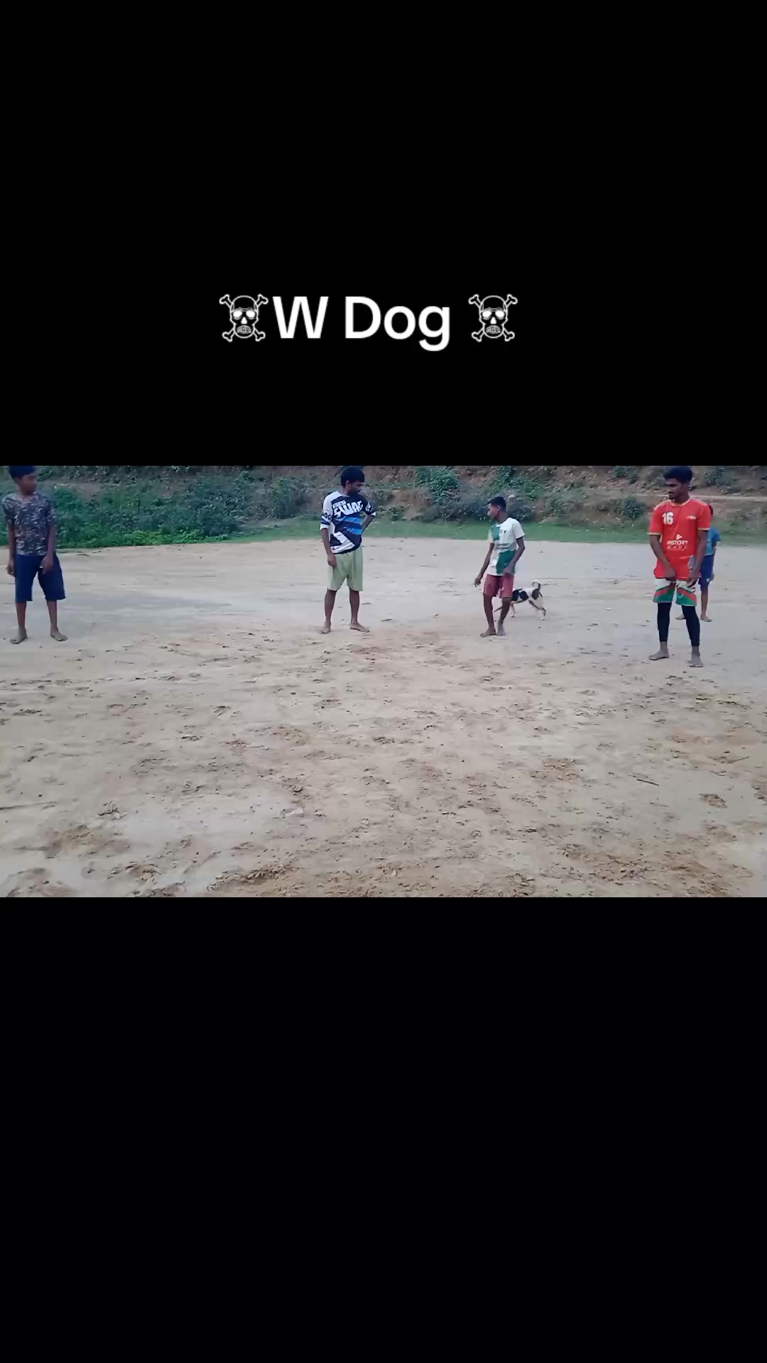 @Cricket lover 7t5