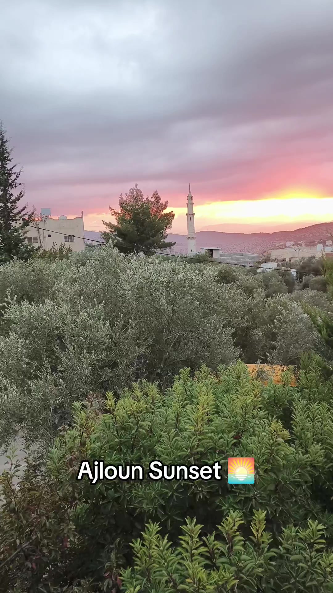 @Let's discover Jordan 🇯🇴