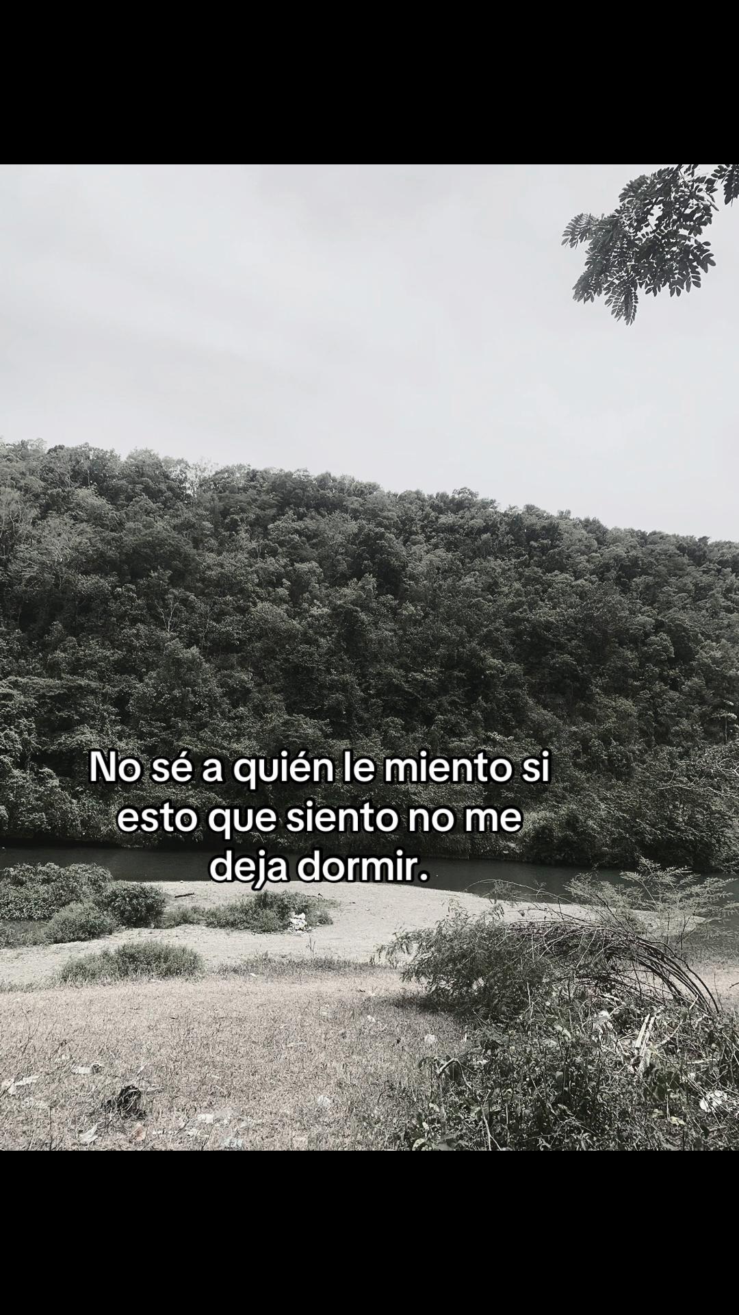 @𝓑𝓲𝓯𝓸 