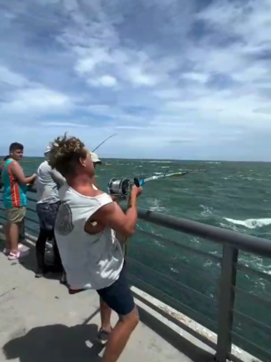 @northsea