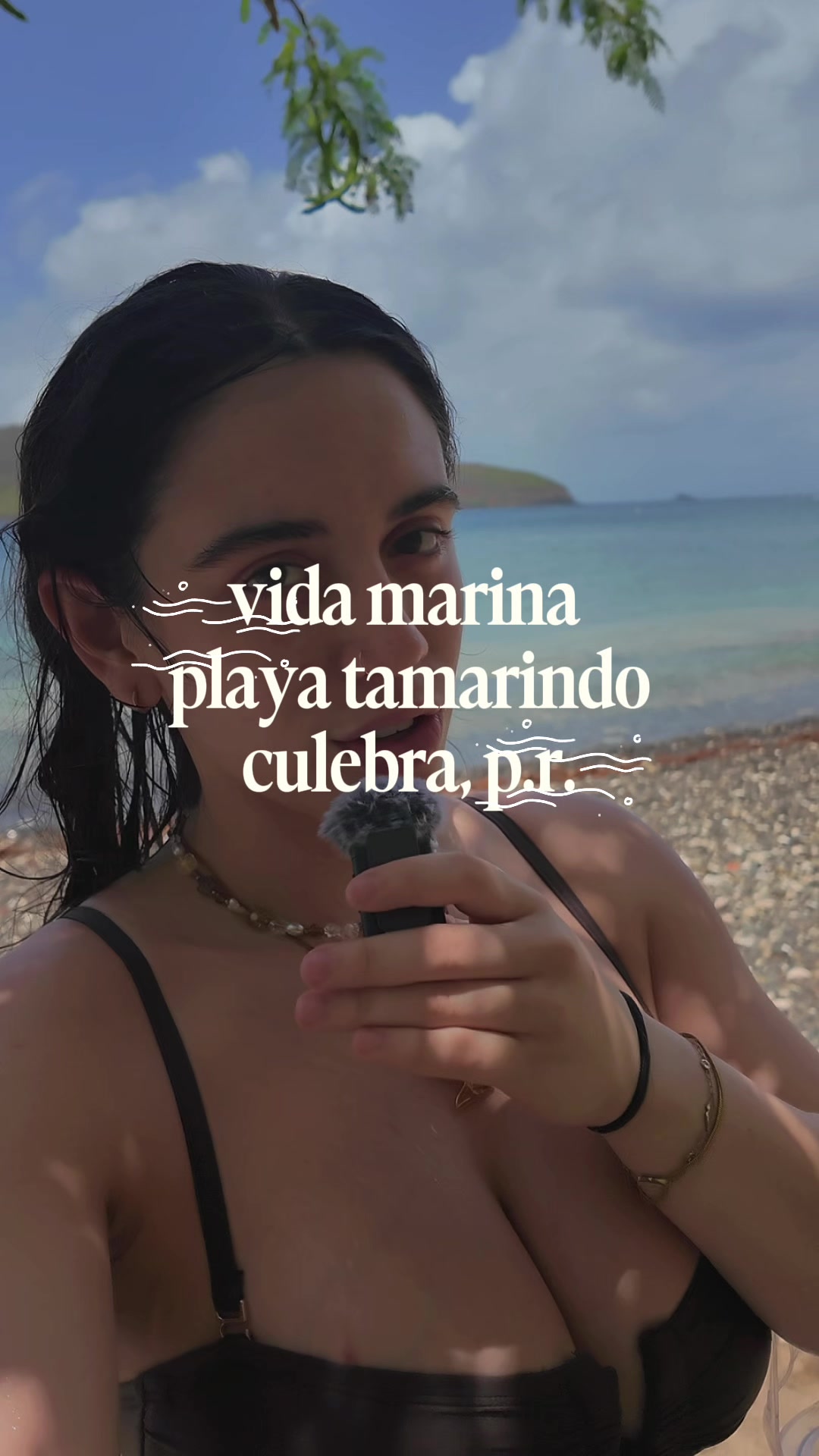 @yaidelyris