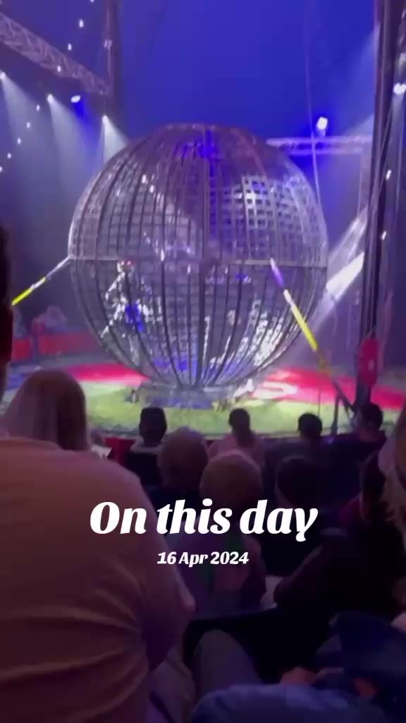 @shellyteddybear1