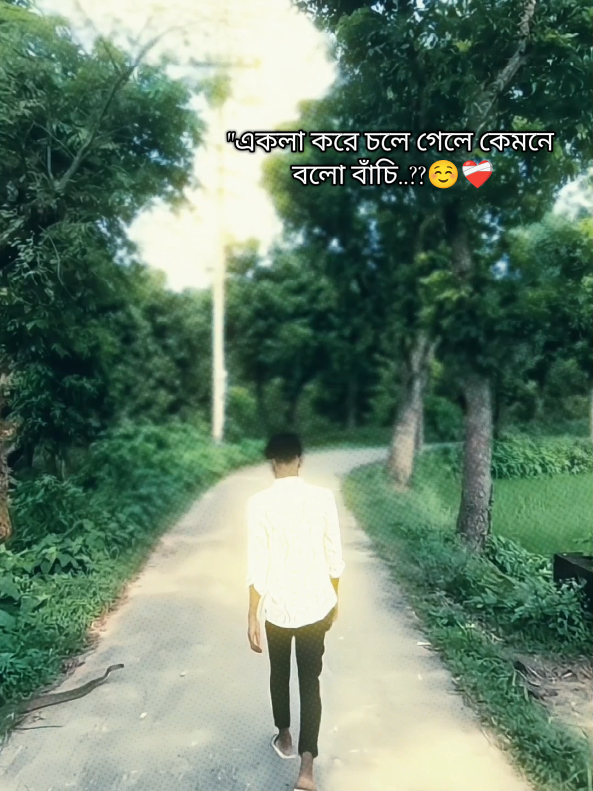 @🔥ꫝʟᴏɴᴇ★Gᴀᴍᴇʀ࿐👑