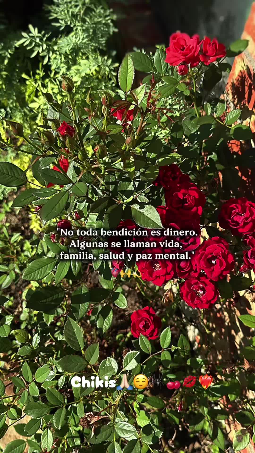 @👑🄲𝔥𝔦k̊̈𝔦ֆ🕷️🪼💋❤️🔥🍒