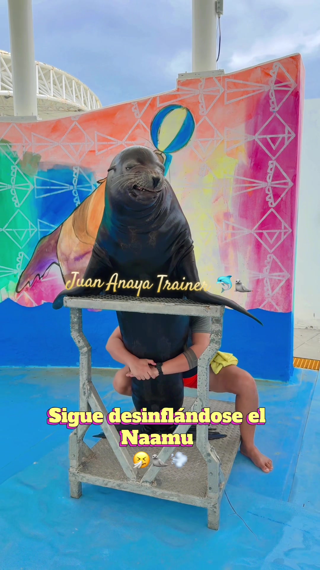 @Juan Anaya Trainer 🐬🦭