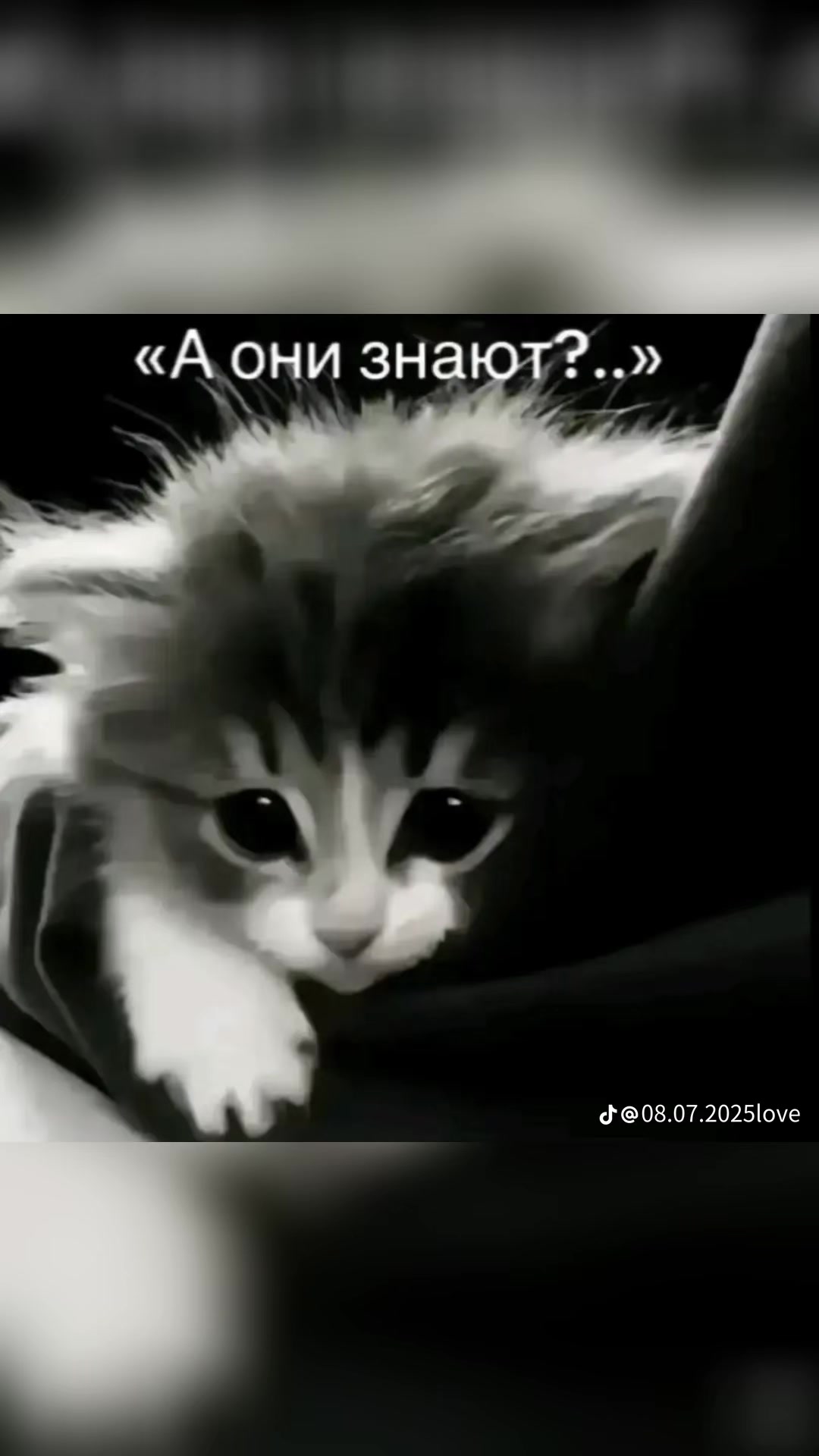 @❤️Ксюшик❤️
