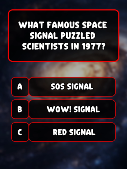 @Quiz Master 365