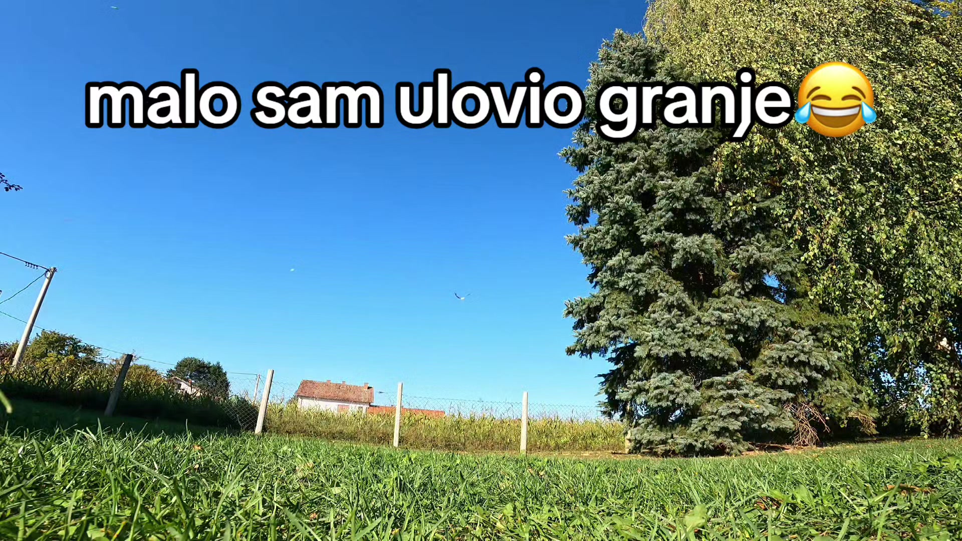 @Leki