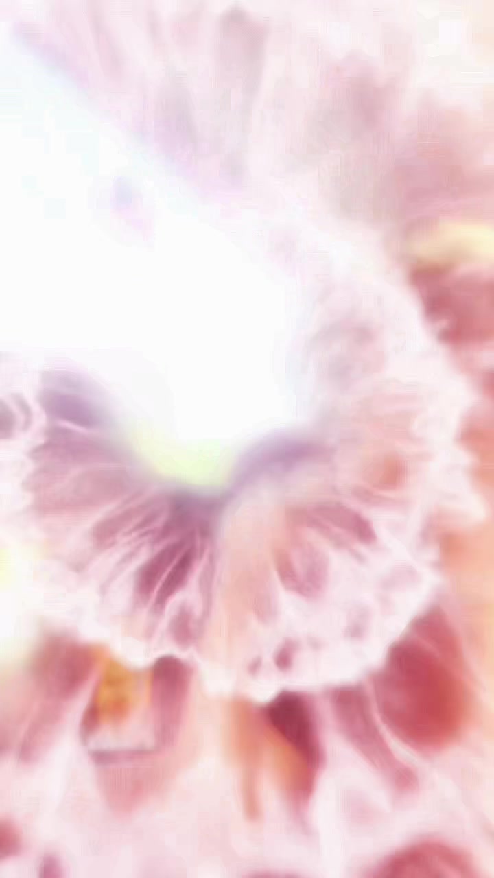 @gho2t42