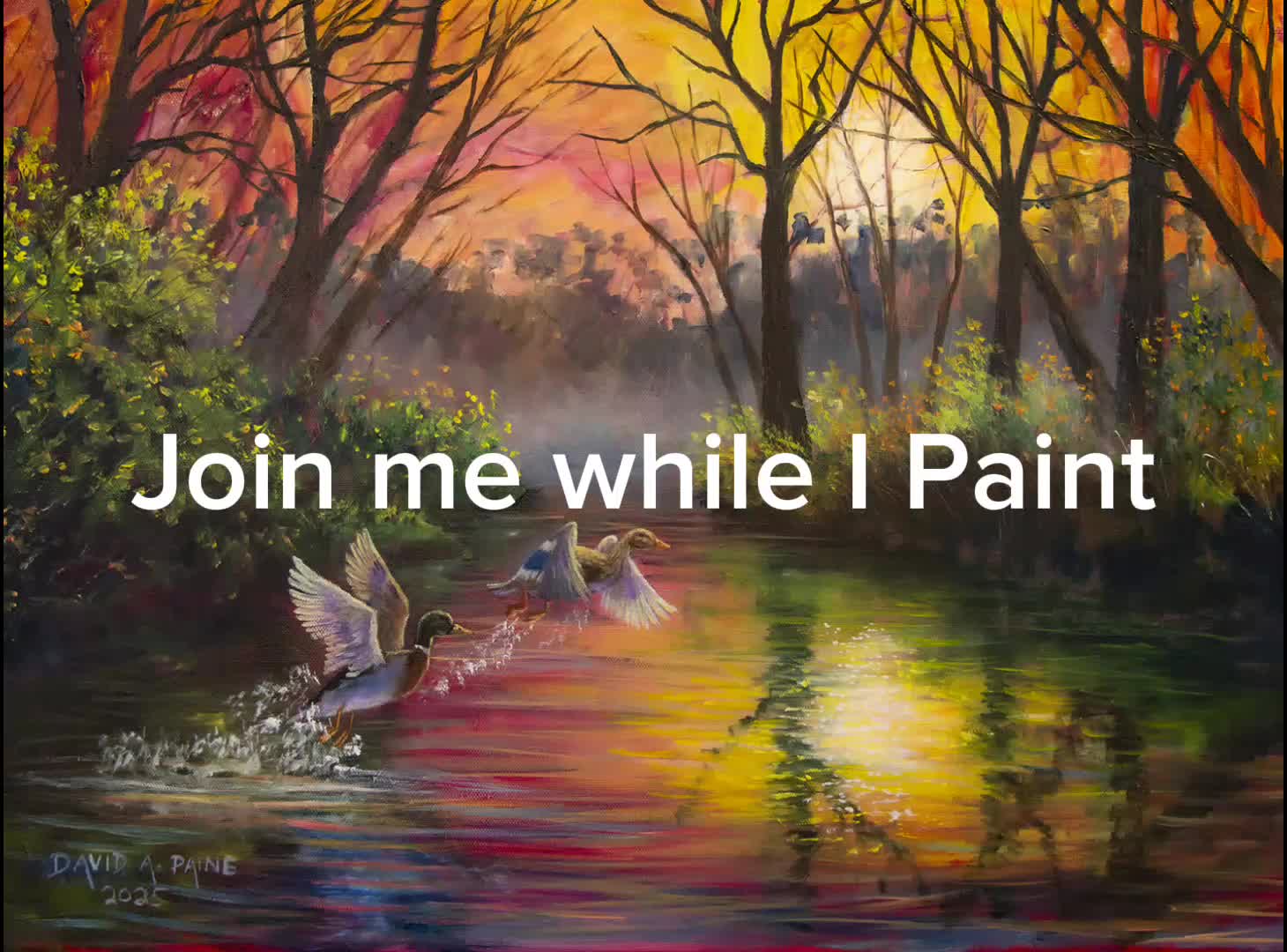 @The Art of David A Paine