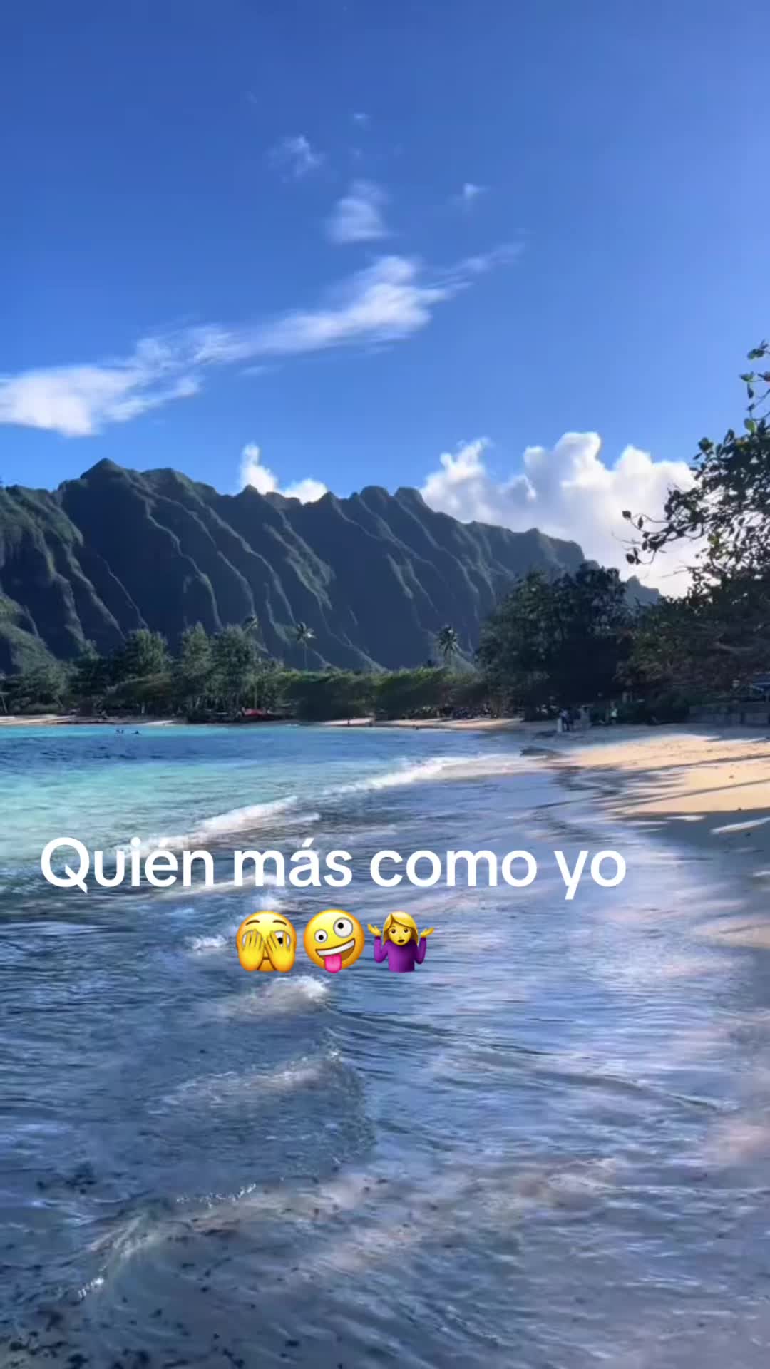 @sonial854