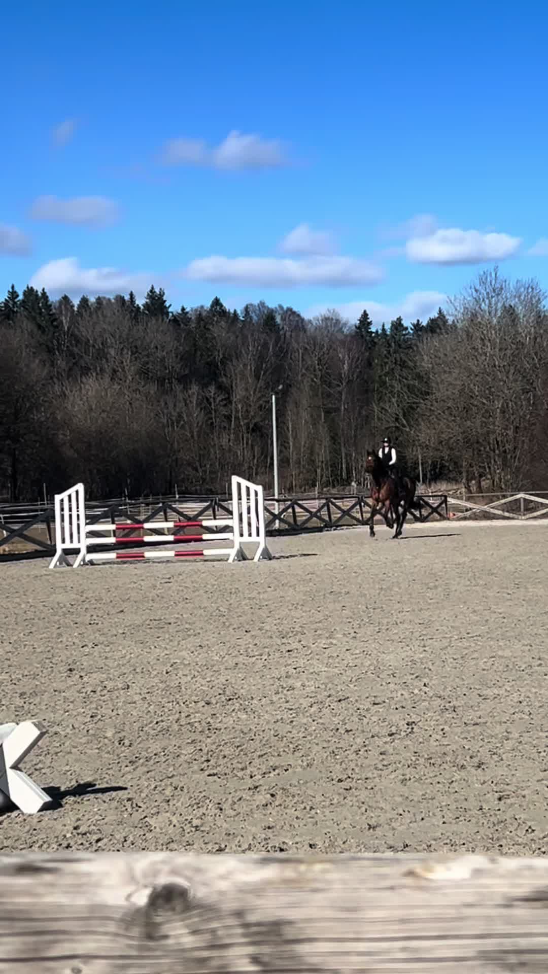 @hedda.equi